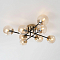 Люстра Citilux CL144185