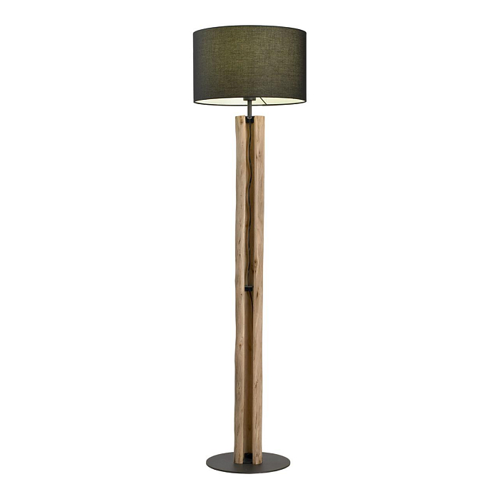 Торшер Lussole LSP-0658